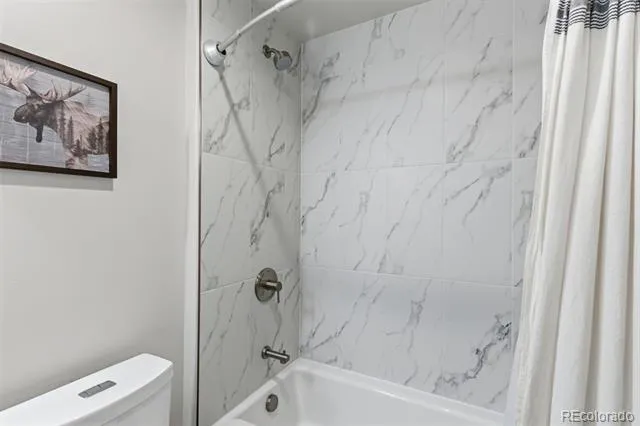 58 W Baron Way Silverthorne, CO 80498
