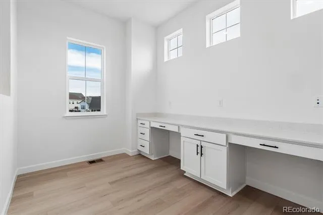 1715 Green Fern Point Castle Rock, CO 80104