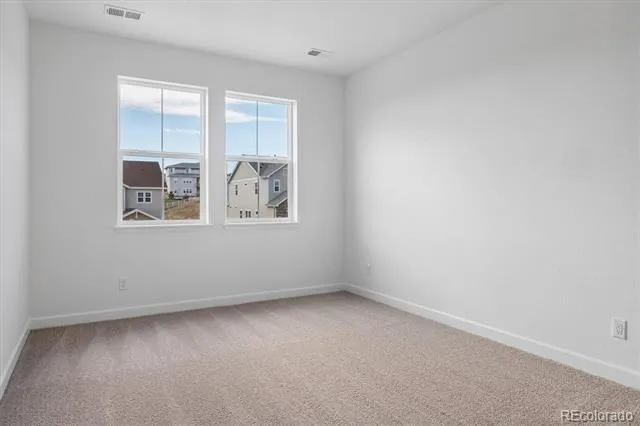 1715 Green Fern Point Castle Rock, CO 80104