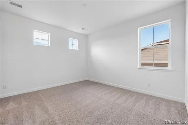 1715 Green Fern Point Castle Rock, CO 80104
