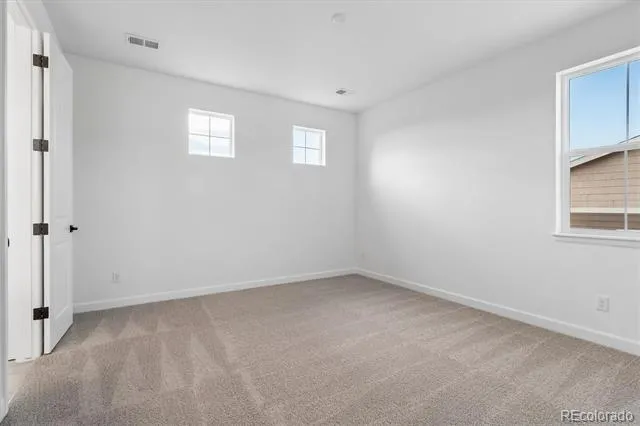 1715 Green Fern Point Castle Rock, CO 80104
