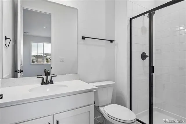 1715 Green Fern Point Castle Rock, CO 80104