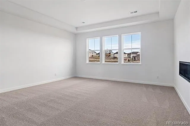 1715 Green Fern Point Castle Rock, CO 80104