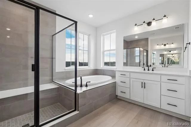 1715 Green Fern Point Castle Rock, CO 80104