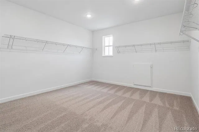 1715 Green Fern Point Castle Rock, CO 80104