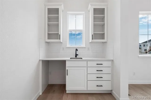 1715 Green Fern Point Castle Rock, CO 80104