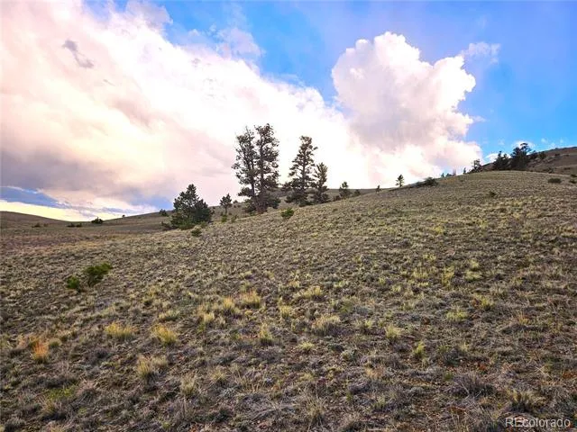 PCS#25427 Yuma Road Hartsel, CO 80449
