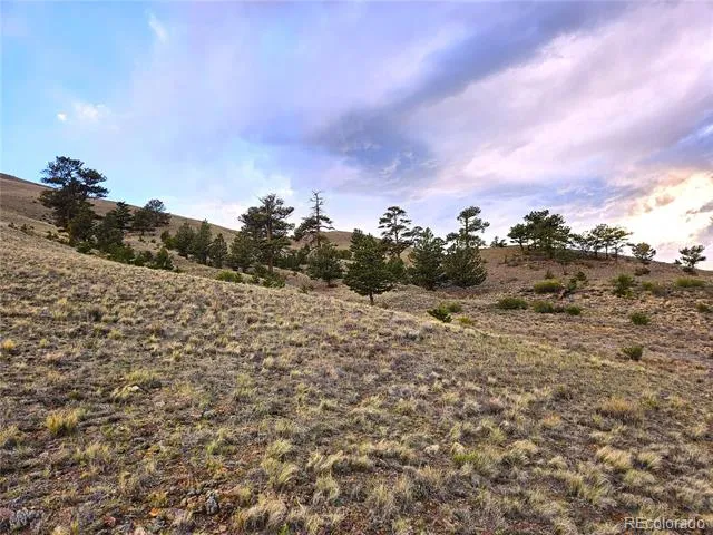 PCS#25427 Yuma Road Hartsel, CO 80449
