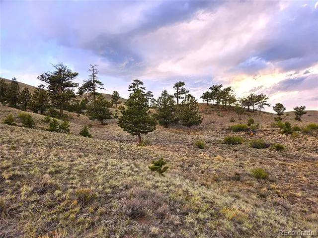 PCS#25427 Yuma Road Hartsel, CO 80449