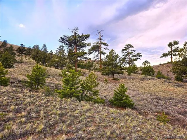 PCS#25427 Yuma Road Hartsel, CO 80449