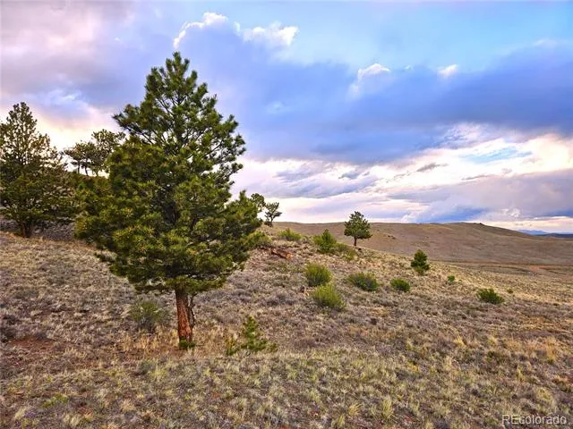 PCS#25427 Yuma Road Hartsel, CO 80449