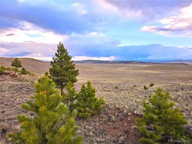 PCS#25427 Yuma Road Hartsel, CO 80449