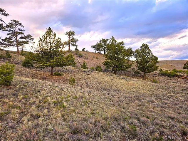 PCS#25427 Yuma Road Hartsel, CO 80449