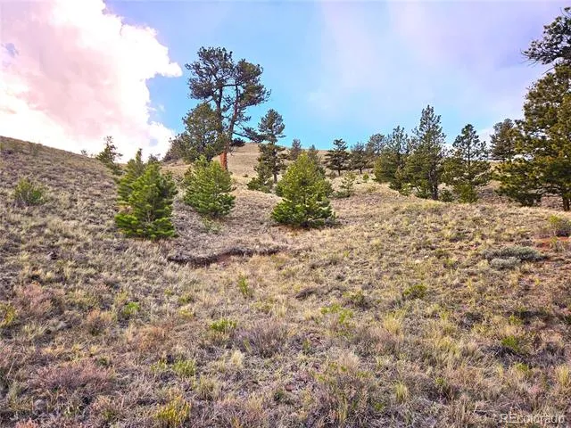 PCS#25427 Yuma Road Hartsel, CO 80449
