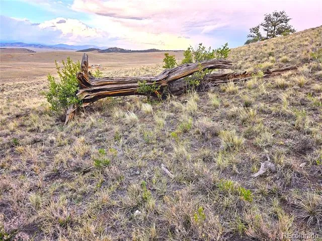 PCS#25427 Yuma Road Hartsel, CO 80449