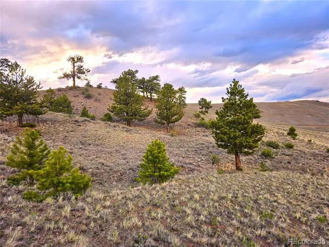 PCS#25427 Yuma Road Hartsel, CO 80449
