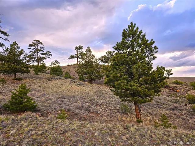 PCS#25427 Yuma Road Hartsel, CO 80449