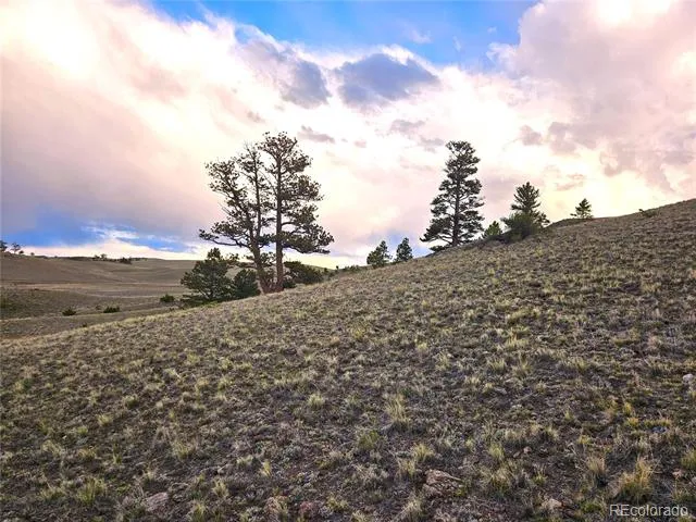 PCS#25427 Yuma Road Hartsel, CO 80449