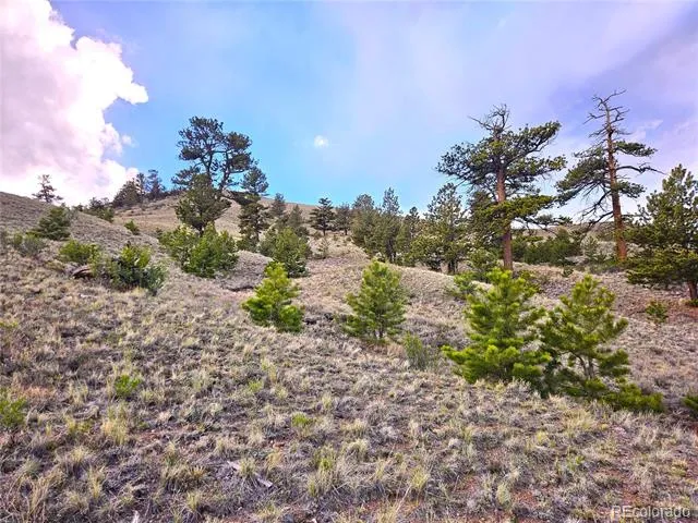 PCS#25427 Yuma Road Hartsel, CO 80449