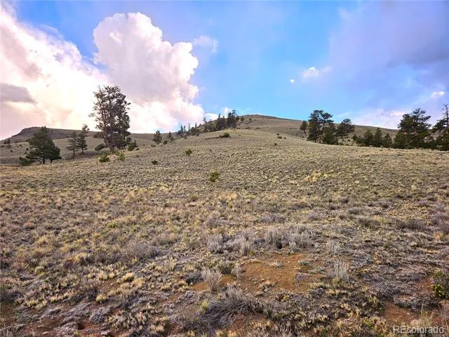 PCS#25427 Yuma Road Hartsel, CO 80449