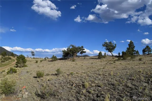 10682 Routt Road Lake George, CO 80827