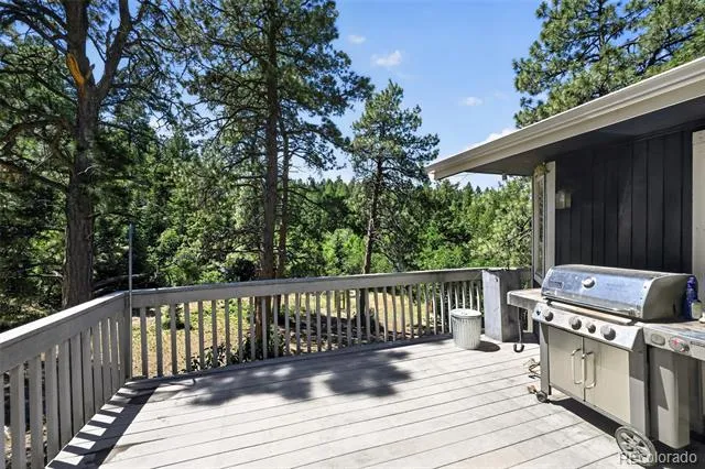1030 E Possee Road Castle Rock, CO 80108