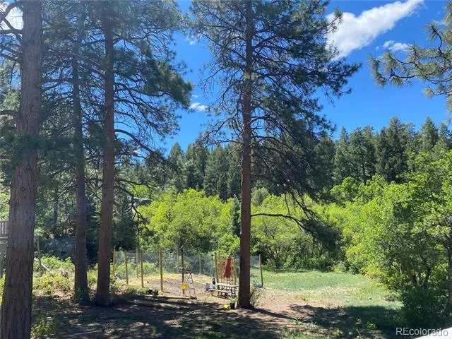 1030 E Possee Road Castle Rock, CO 80108