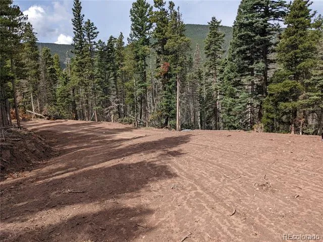 3331 Purnell Lane Fort Garland, CO 81133