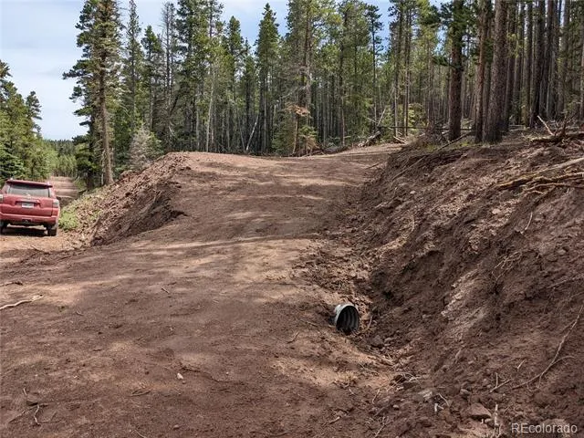 3331 Purnell Lane Fort Garland, CO 81133