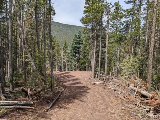 3331 Purnell Lane Fort Garland, CO 81133