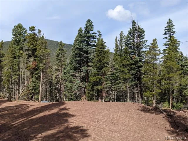3331 Purnell Lane Fort Garland, CO 81133