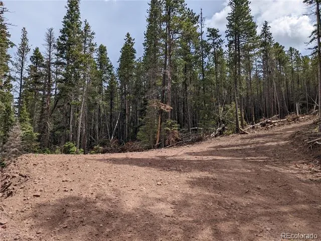 3331 Purnell Lane Fort Garland, CO 81133