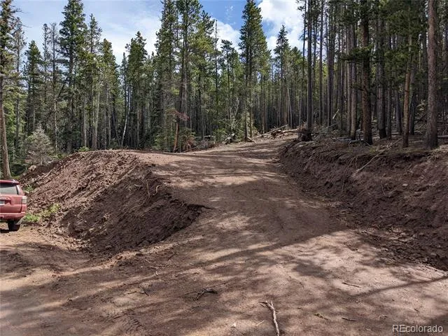 3331 Purnell Lane Fort Garland, CO 81133