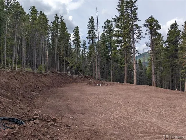 3331 Purnell Lane Fort Garland, CO 81133