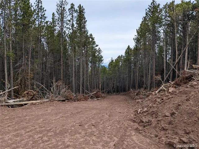 3331 Purnell Lane Fort Garland, CO 81133
