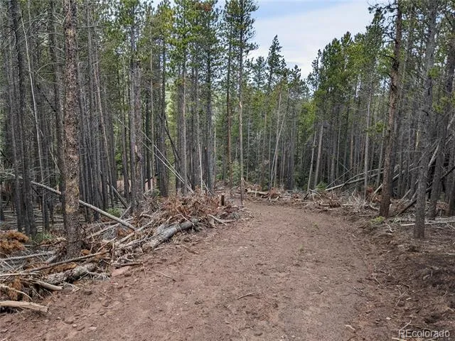 3331 Purnell Lane Fort Garland, CO 81133