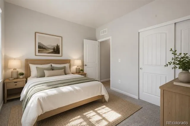 11920 Barrentine Loop Parker, CO 80138