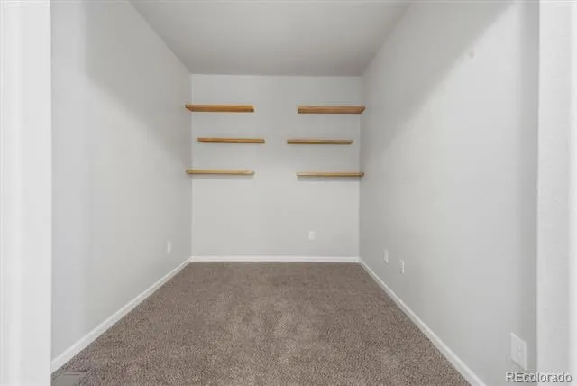 11920 Barrentine Loop Parker, CO 80138