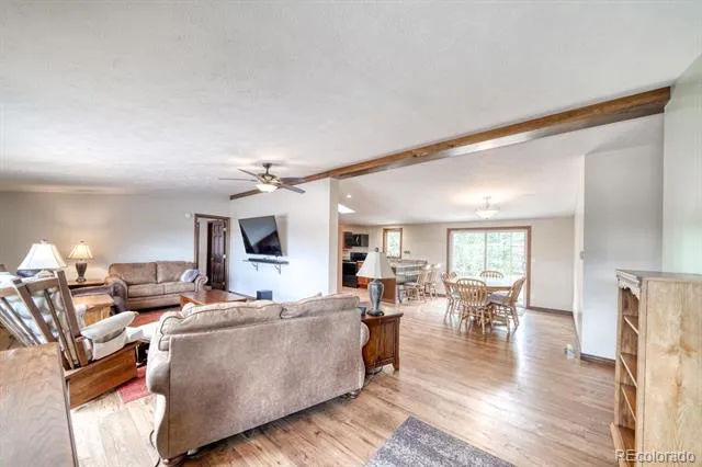 29650 Pinon Lane Buena Vista, CO 81211
