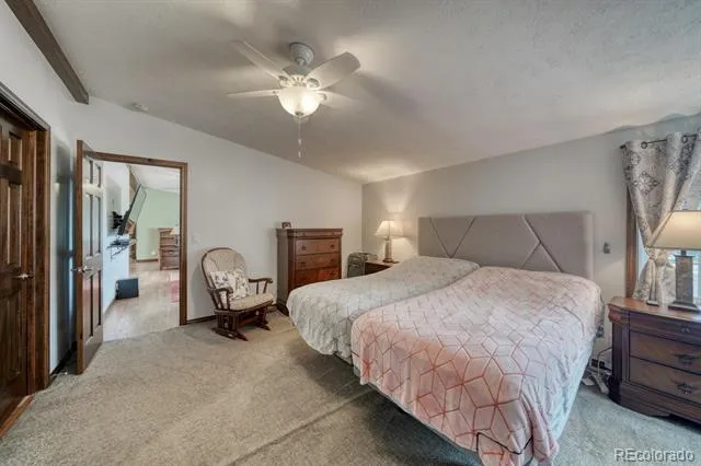 29650 Pinon Lane Buena Vista, CO 81211