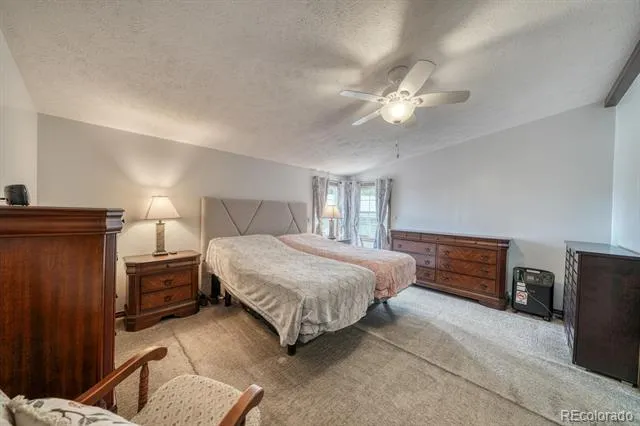 29650 Pinon Lane Buena Vista, CO 81211