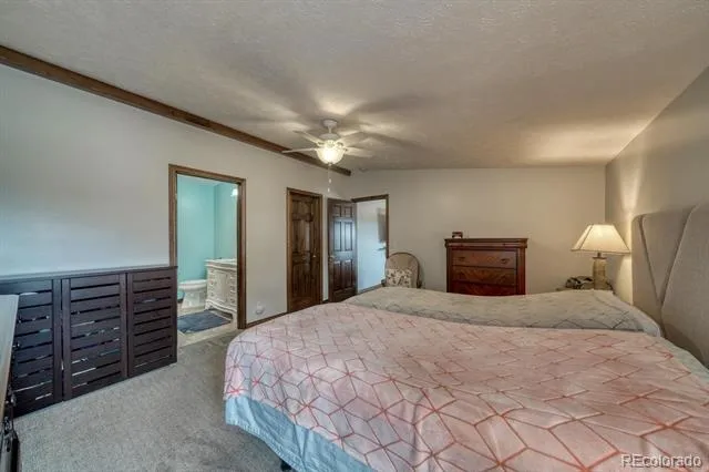29650 Pinon Lane Buena Vista, CO 81211