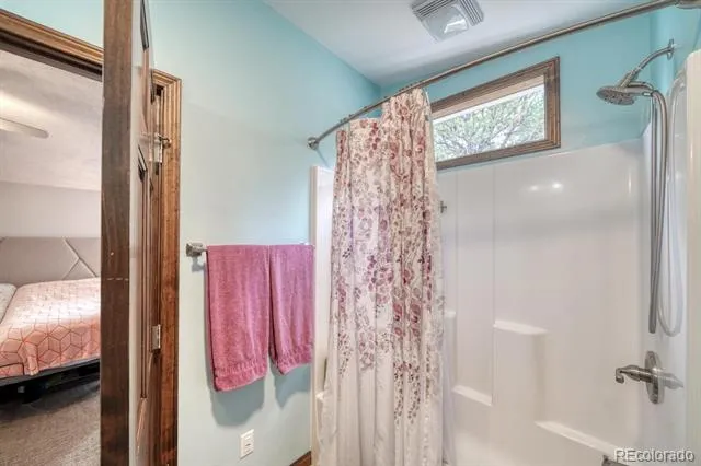29650 Pinon Lane Buena Vista, CO 81211