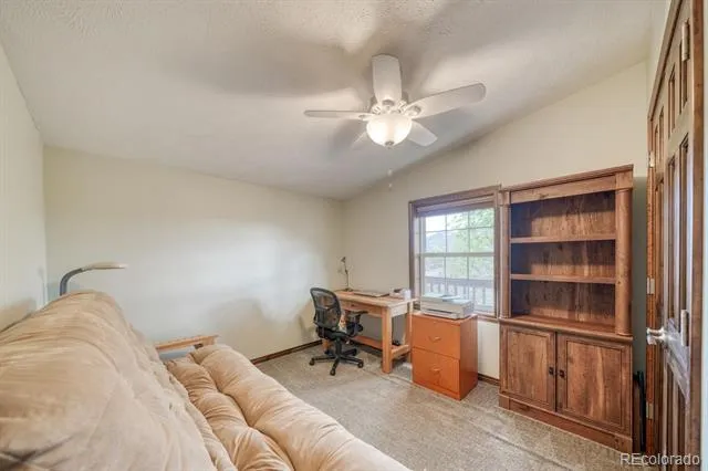 29650 Pinon Lane Buena Vista, CO 81211