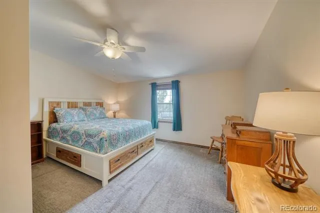 29650 Pinon Lane Buena Vista, CO 81211