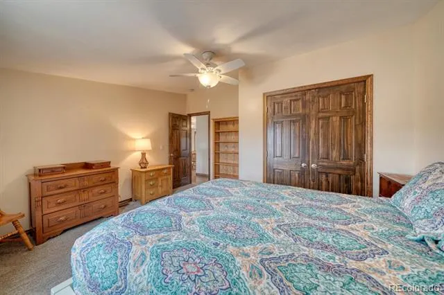 29650 Pinon Lane Buena Vista, CO 81211