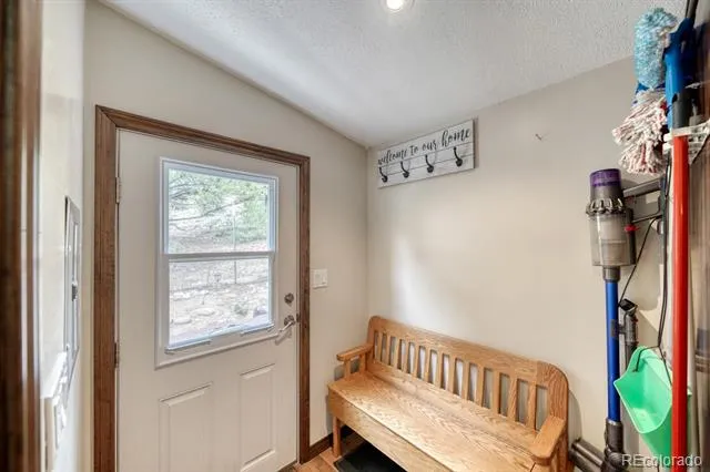 29650 Pinon Lane Buena Vista, CO 81211