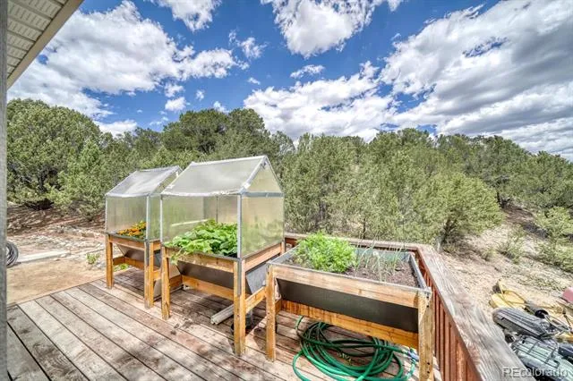 29650 Pinon Lane Buena Vista, CO 81211