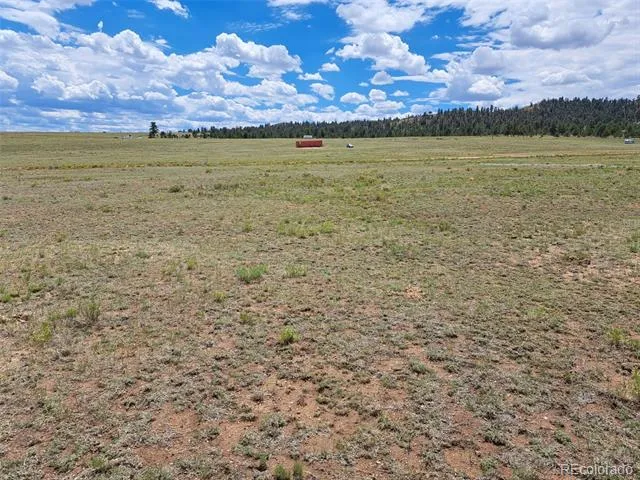 389 Park Road Hartsel, CO 80449