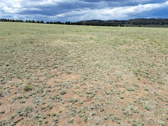 389 Park Road Hartsel, CO 80449